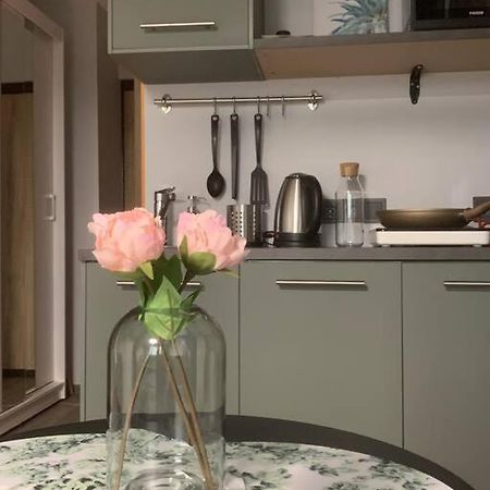 Apartment Near Ozas Βίλνιους Εξωτερικό φωτογραφία