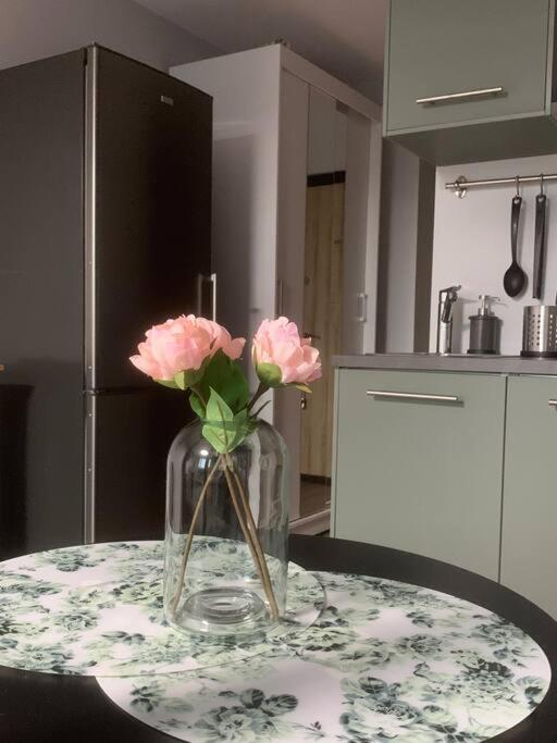 Apartment Near Ozas Βίλνιους Εξωτερικό φωτογραφία