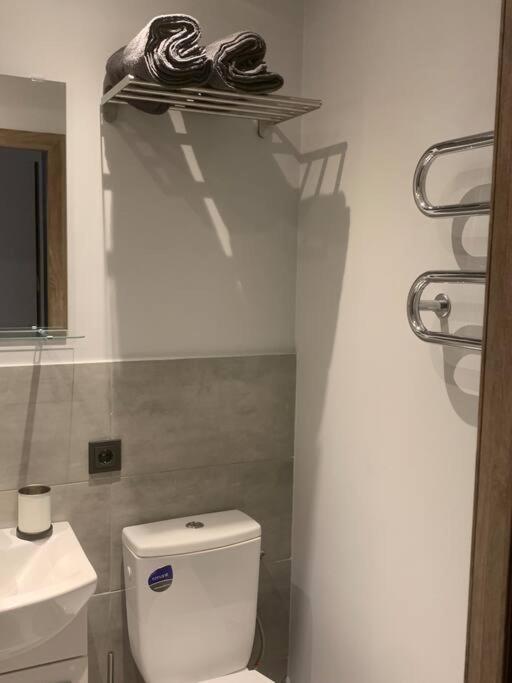 Apartment Near Ozas Βίλνιους Εξωτερικό φωτογραφία