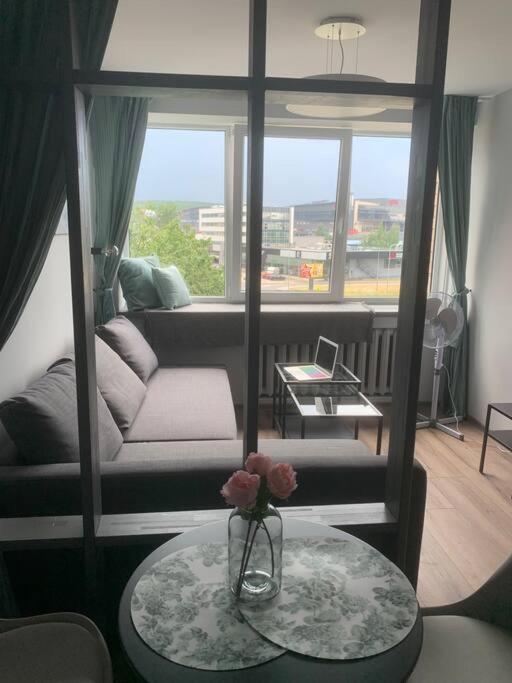 Apartment Near Ozas Βίλνιους Εξωτερικό φωτογραφία