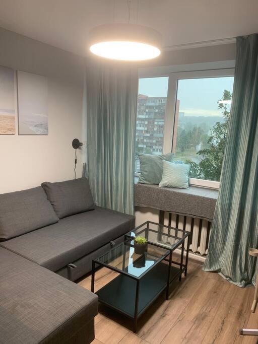 Apartment Near Ozas Βίλνιους Εξωτερικό φωτογραφία